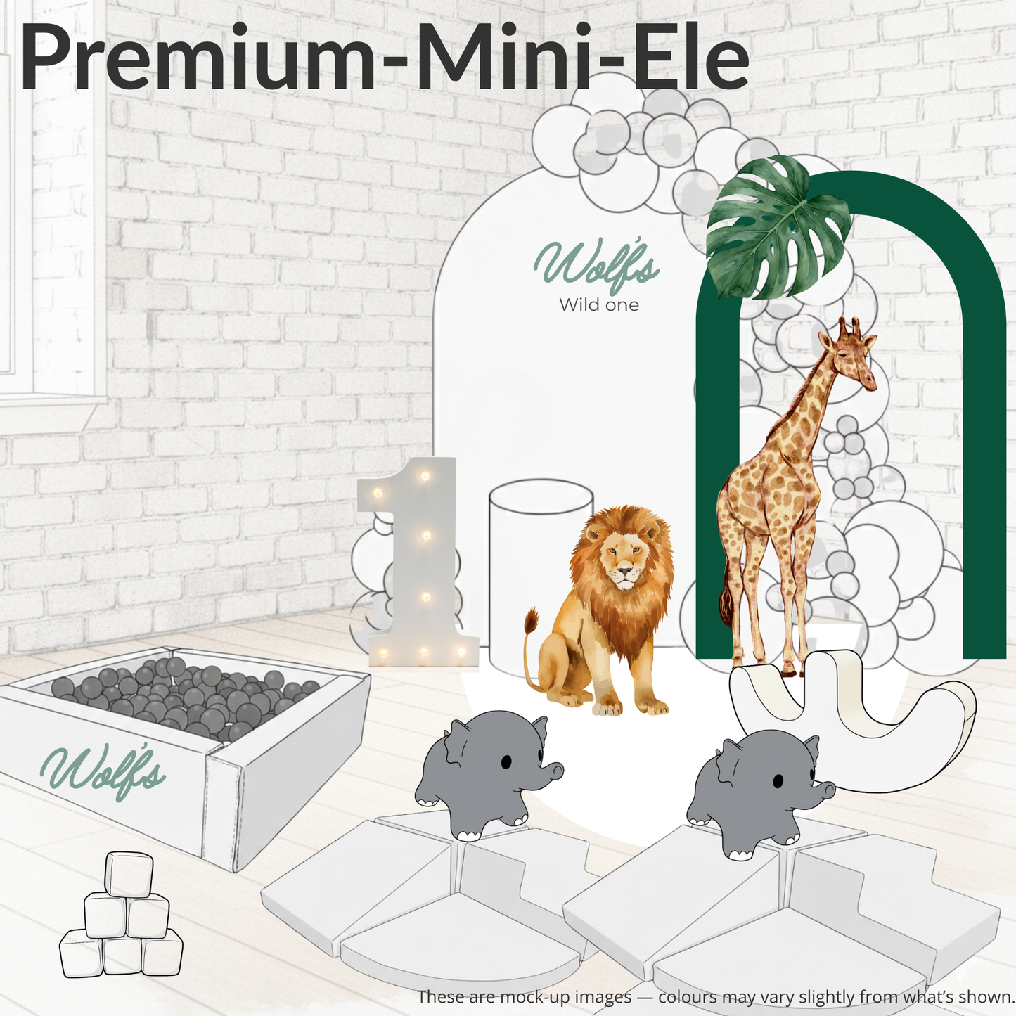 Premium Birthday Package -  Under 2's
