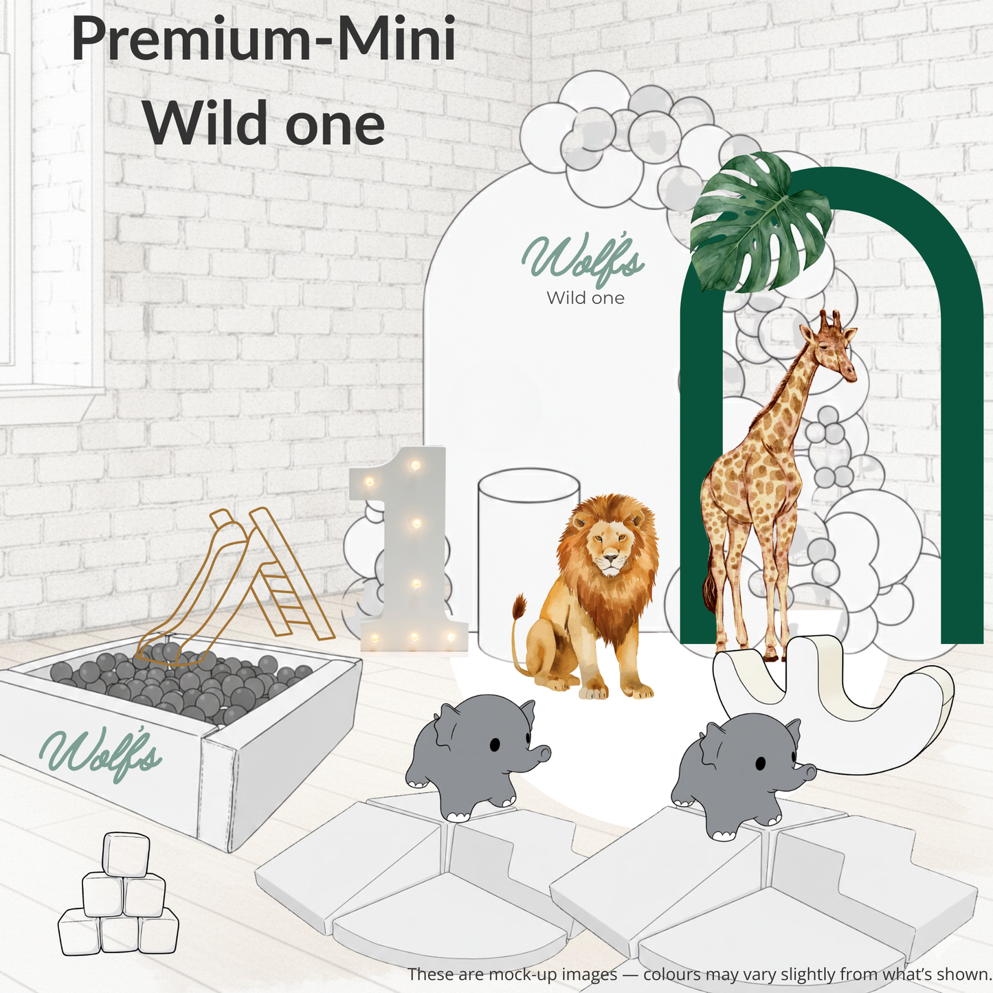 Premium Birthday Package -  Under 2's