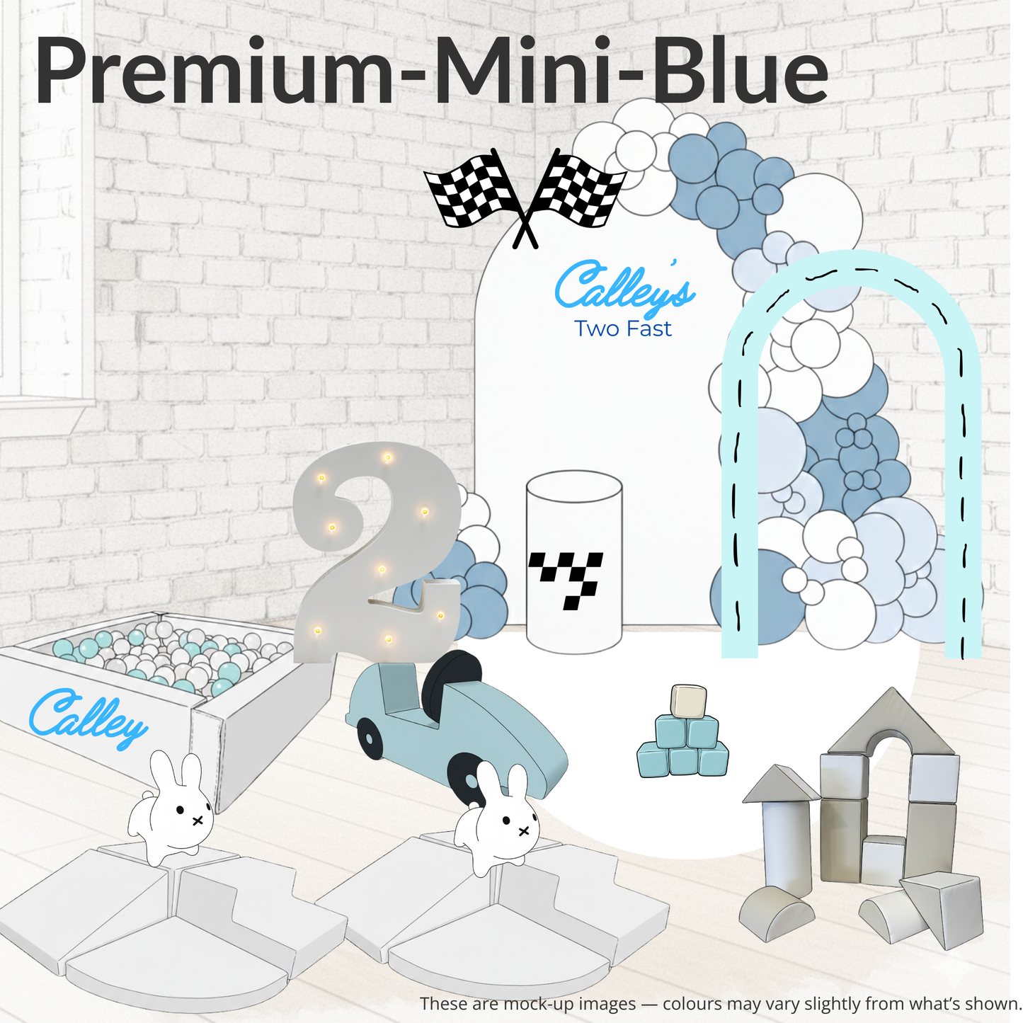 Premium Birthday Package -  Under 2's