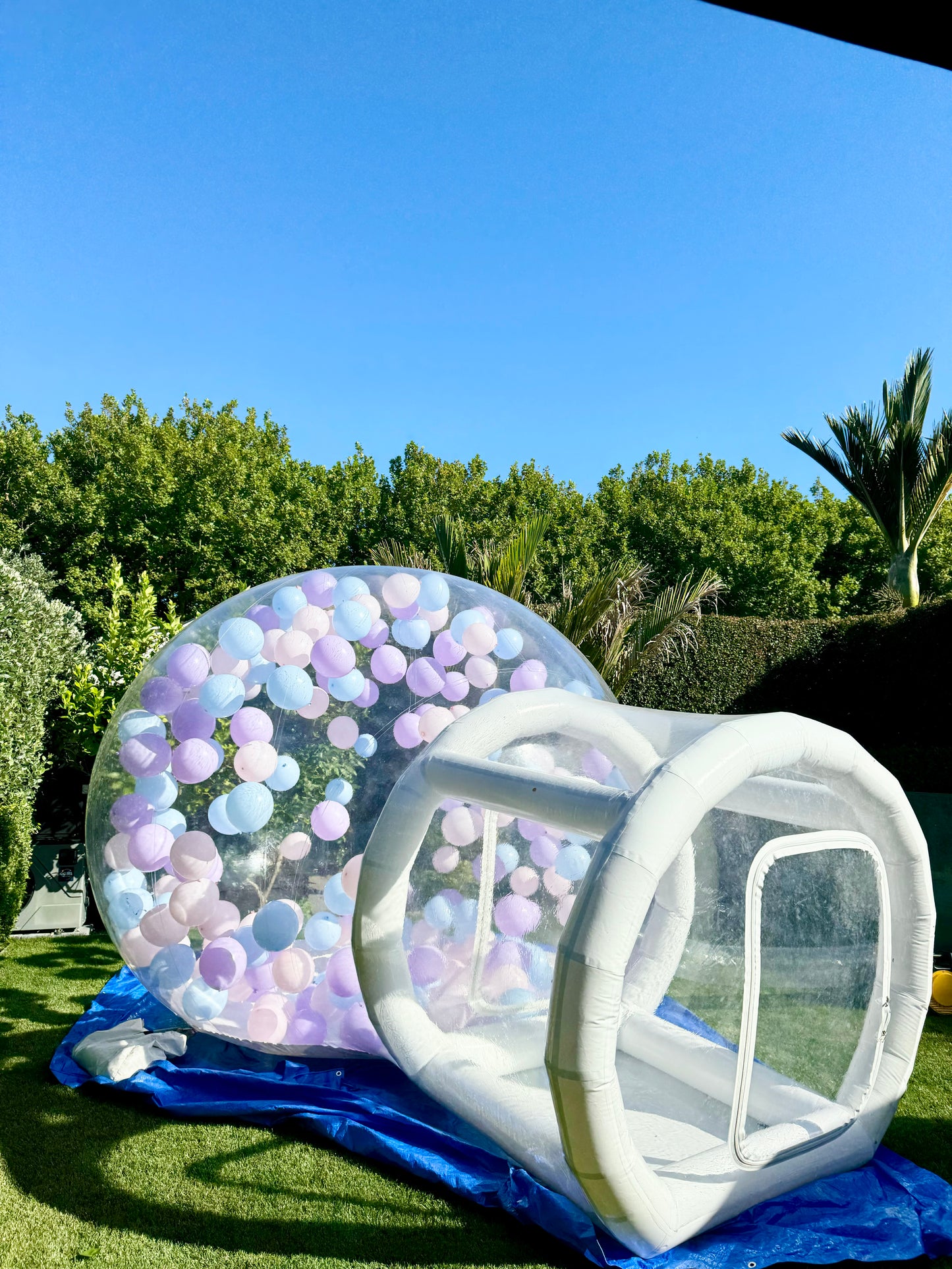 Bubble House